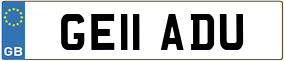 Trailer License Plate